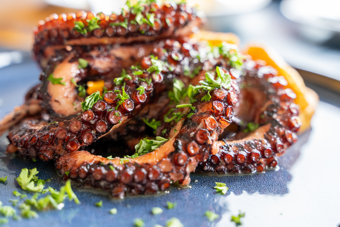  octopus a la plancha at Outdoor Restaurants in Miami